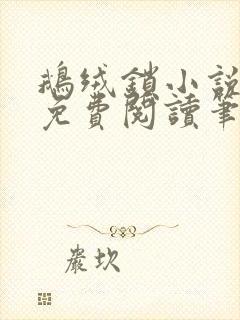 鹅绒锁小说全文免费阅读笔趣阁