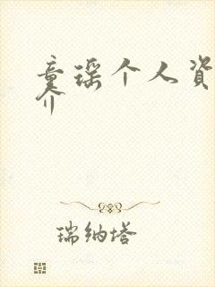 童瑶个人资料简介