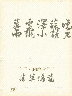 慕云泽苏晚晴夏雨桐小说免费阅读