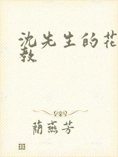 沈先生的花式管教封面