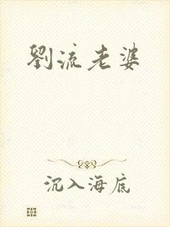 刘流老婆封面