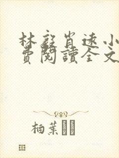 林毅肖远小说免费阅读全文最新章节