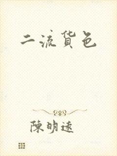 二流货色