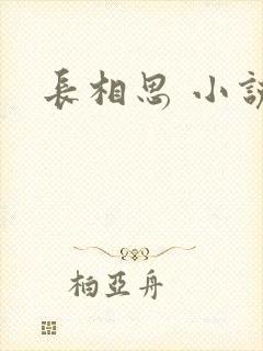 长相思 小说