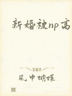 新婚被np高h