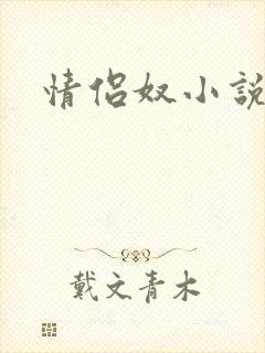 情侣奴小说封面