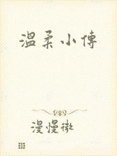 温柔小传封面