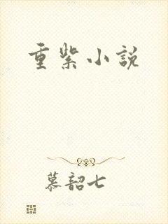 重紫小说