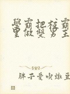 学霸把校霸往死里做双男主车