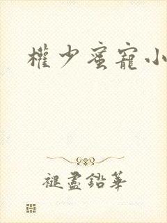 权少蜜宠小娇妻