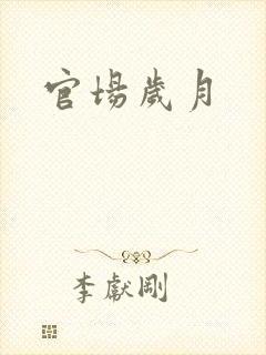 官场岁月
