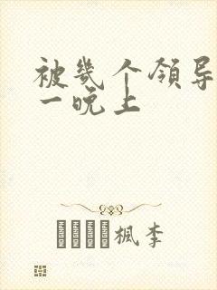 被几个领导玩弄一晚上