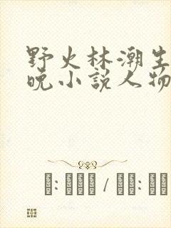 野火林潮生林晚晚小说人物野火