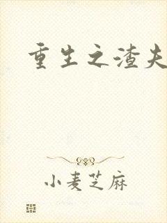 重生之渣夫狠妻