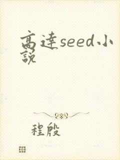 高达seed小说