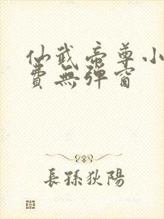 仙武帝尊小说免费无弹窗