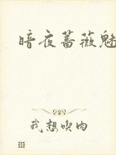 暗夜蔷薇魅封面