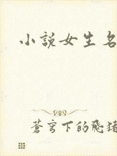 小说女生名字封面
