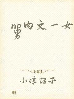 np肉文一女多男