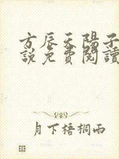 方辰天阳子的小说免费阅读