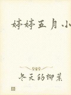 婷婷五月小说封面