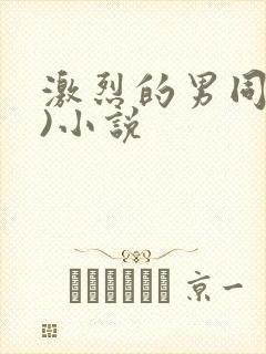 激烈的男同(h)小说