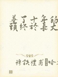 养了十年的小丫头终于长大了