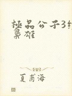 极品公子3续世枭雄