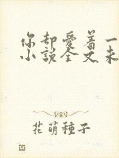 你却爱着一个他小说全文未删减免费