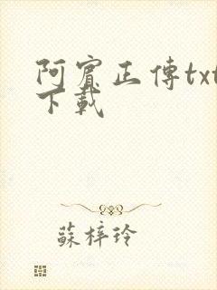 阿宾正传txt下载