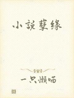 小说孽缘