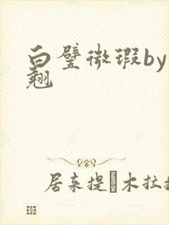 白璧微瑕by连翘