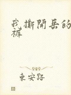 我撕开岳的丁字裤