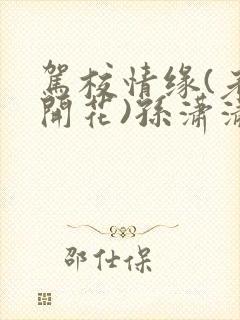 驾校情缘(老树开花)孙潇潇笔趣阁