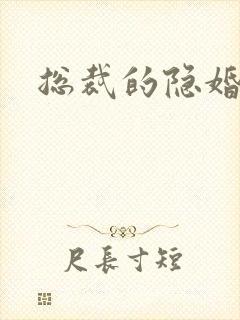 总裁的隐婚新娘封面