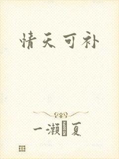 情天可补