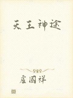 天王神途封面