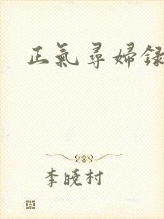 正气寻妇录