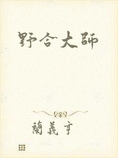 野合大师封面