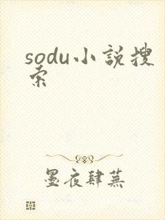 sodu小说搜索封面