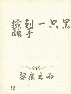 捡到一只黑心小触手