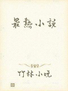 最热小说