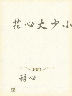 花心大少小说封面