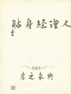 贴身经理人txt封面