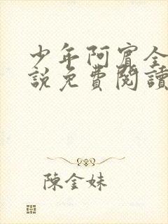 少年阿宾全文小说免费阅读笔趣阁