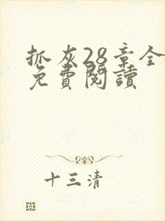 抓灰28章全部免费阅读