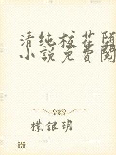 清纯校花堕落记小说免费阅读封面