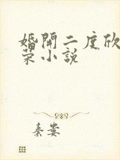 婚开二度欣欣向荣小说
