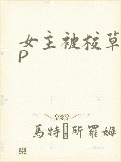 女主被校草们NP
