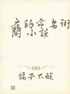 夜的命名术笔趣阁 小说